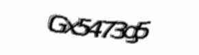 Security check image, please type the characters shown